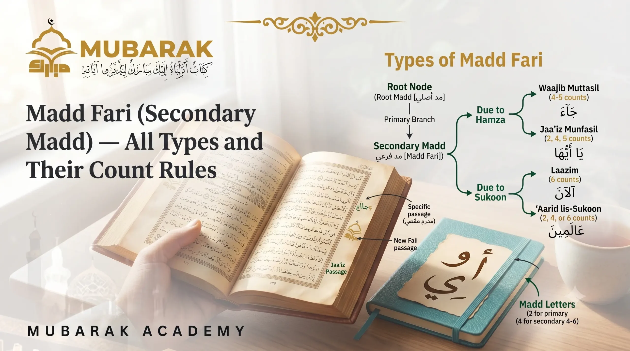 Madd Types What Is Madd in Tajweed? Types, Rules & Pronunciation