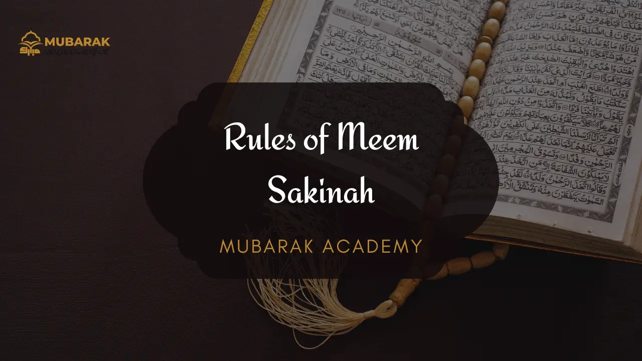 Rules of Meem Sakinah Tajweed Rules with examples