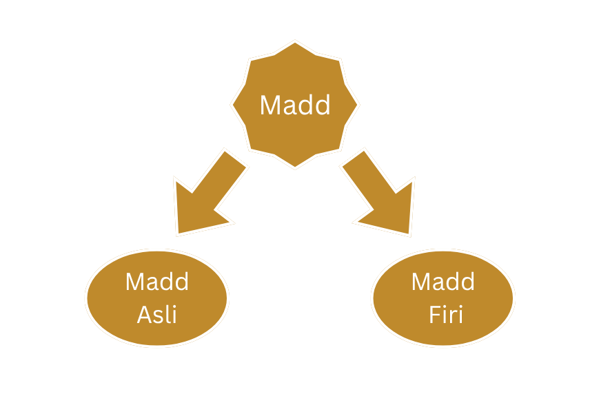 what is madd in tajweed what is madd in tajweed