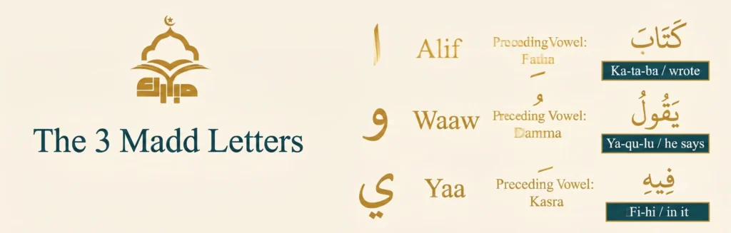What Is Madd in Tajweed? (The Precise Definition)