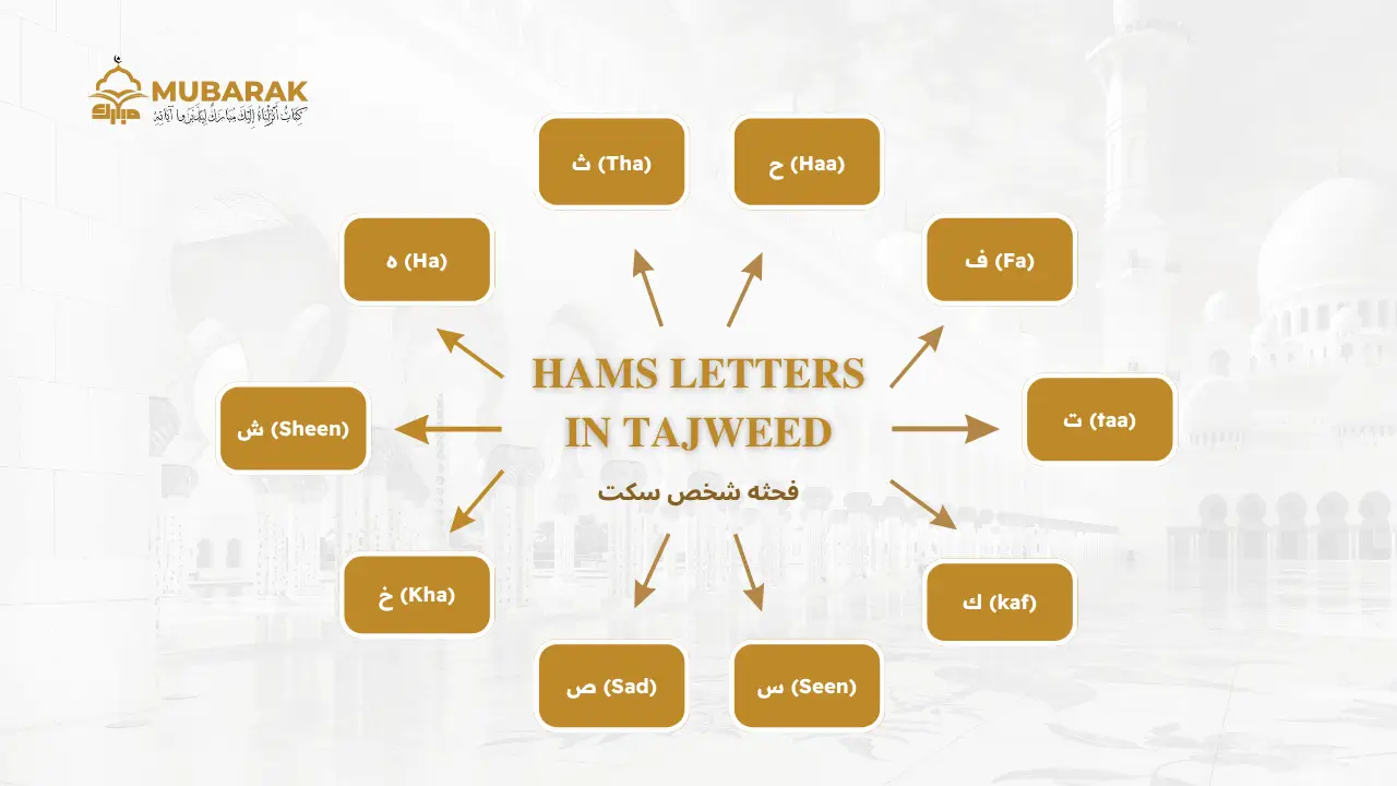 Hams Letters in Tajweed