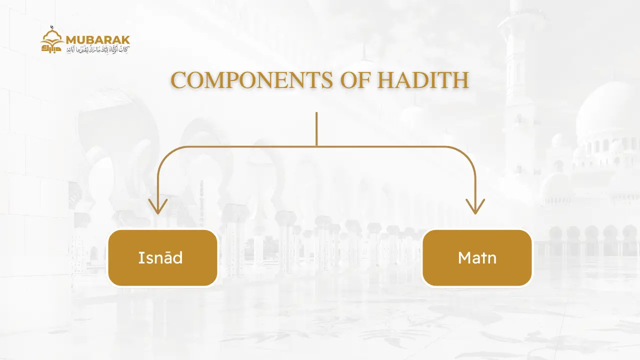 What is Isnād and Matn 