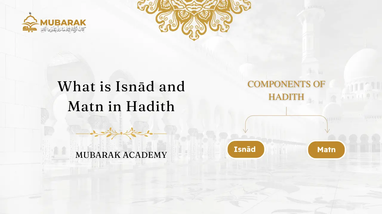 Learn What is Isnād and Matn in Hadith with Examples