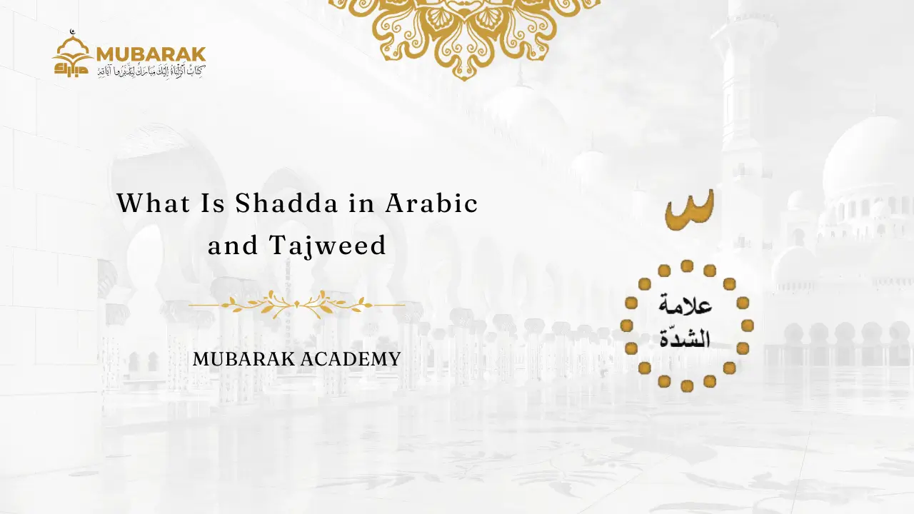What Is Shadda