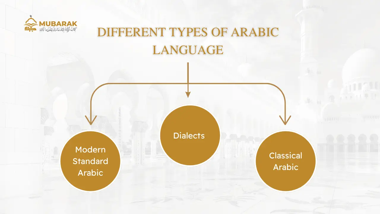 Different Types of Arabic Language