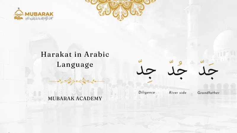 Harakat in Arabic Language