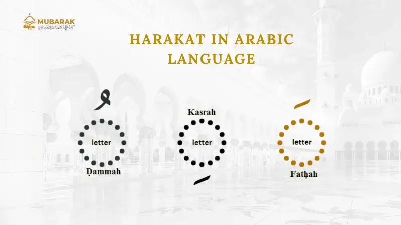 Harakat in arabic language